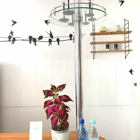 Przy Starowce Apartment Olsztyn (Warmian-Masurian)