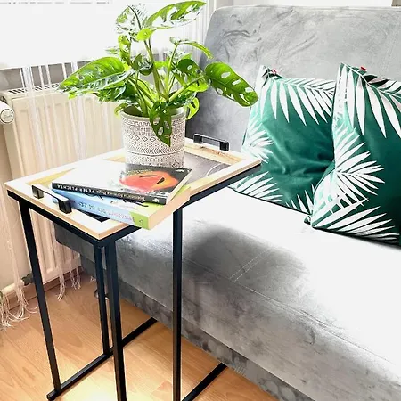 Przy Starowce Apartment *