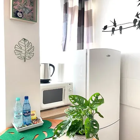 Apartment Przy Starowce