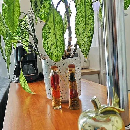 Apartamenty przy Starówce